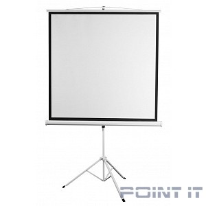 Digis Kontur-D [DSKD-4303] Экран на штативе формат 4:3, 100", 206x159, рабочая поверхность 200x150, MW