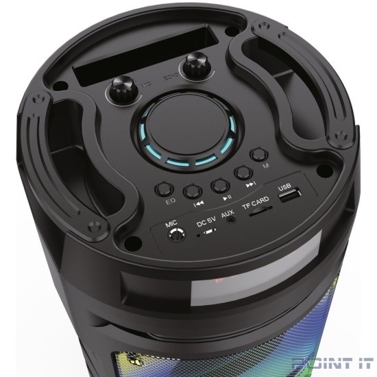 Ginzzu GM-219 {(V5.0), 50Вт, 150Гц- 18кГц, USB-flash, microSD-card, FM-радио, пульт ДУ, батарея 3,6В/4500мАч, эквалайзер }